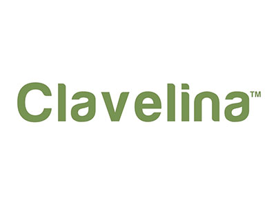 Clavelina